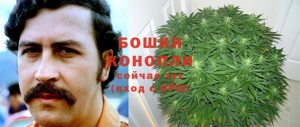 2c-b Лабытнанги