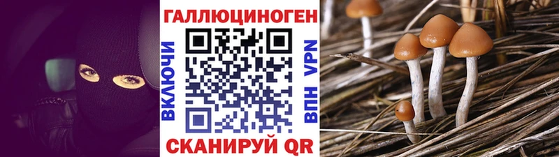 Псилоцибиновые грибы ЛСД  сколько стоит  kraken онион  Темников 